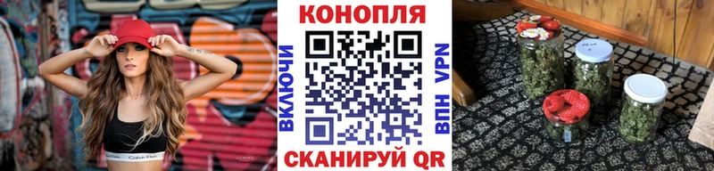 Купить где  Покачи  Конопля White Widow 
